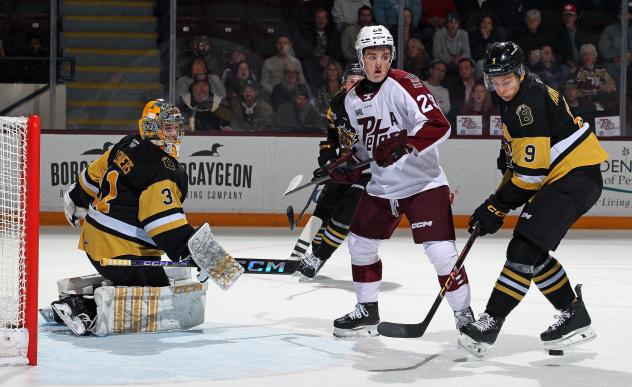 Peterborough Petes right wing Braydon McCallum vs. the Brantford Bulldogs