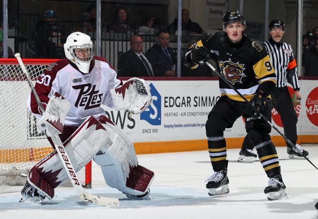Peterborough Petes goaltender Easton Rye vs. the Brantford Bulldogs