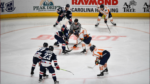 South Carolina Stingrays battle the Carolina Swamp Rabbits