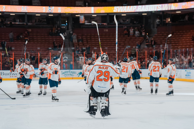 Greenville Swamp Rabbits on the ice