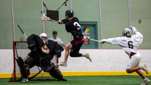 Albany Firewolves training camp action