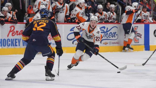 Barrie Colts' Tristan Bertucci and Flint Firebirds' Max Anderson in action