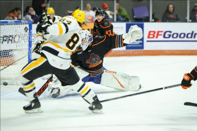 Wheeling Nailers' Atley Calvert in action
