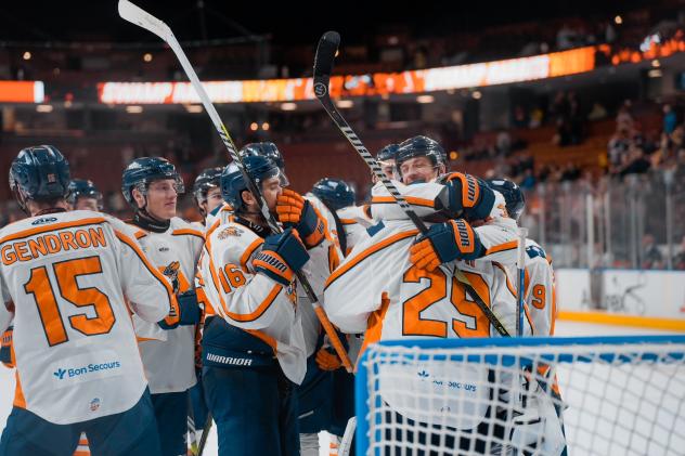 Greenville Swamp Rabbits mob goaltender Dryden McKay