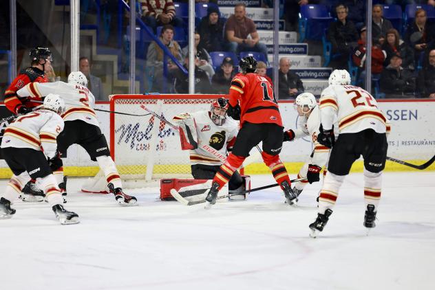 Vancouver Giants goaltender Carter Capton