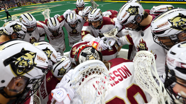 Albany FireWolves huddle
