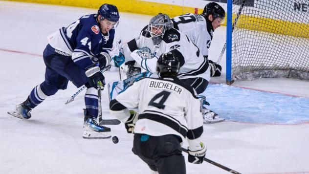 Wichita Thunder goaltender Aaron Dell vs. the Worcester Railers