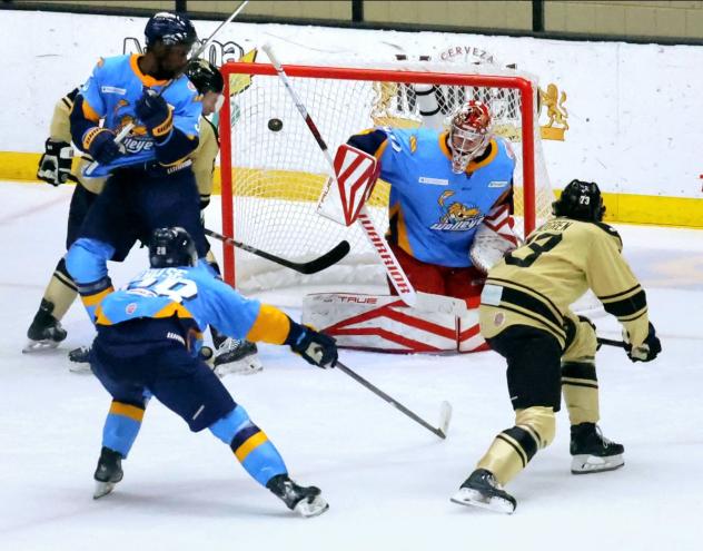 Wheeling Nailers defenseman Mats Lindgren takes a shot againt the Toledo Walleye