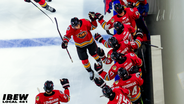 Indy Fuel give high fives along the bench