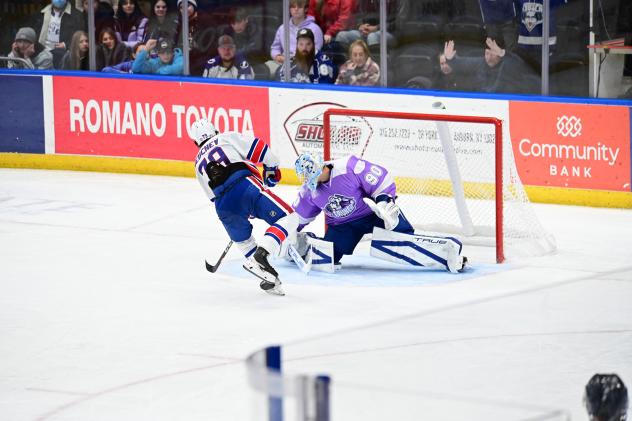 Rochester Americans' Viktor Neuchev versus Syracuse Crunch's Matt Tomkins