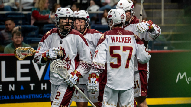 Albany FireWolves on game night