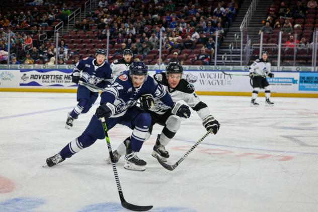 Worcester Railers forward Matt DeMelis reaches for the puck