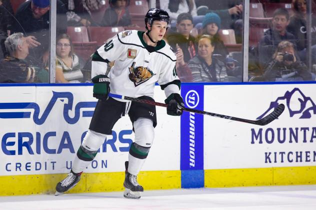 Utah Grizzlies defenseman Andrew Nielsen