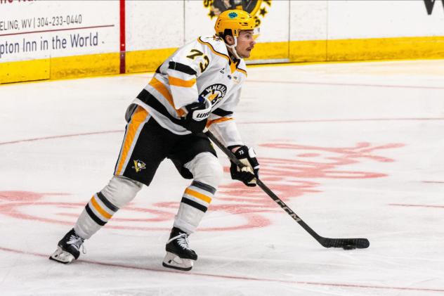 Wheeling Nailers defenseman Mats Lindgren