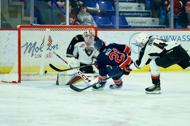 Vancouver Giants goaltender Matthew Hutchison tries to stop the Regina Pats' Julien Maze