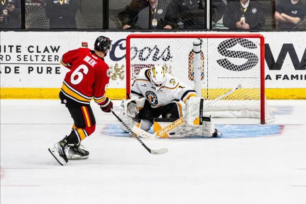 Wheeling Nailers goaltender Sergei Murashov