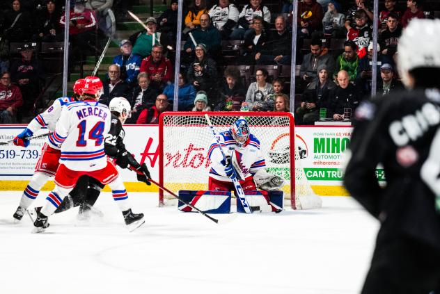 Kitchener Rangers in action