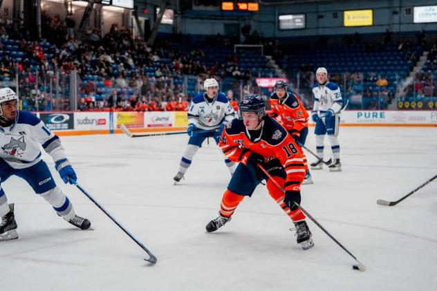 Flint Firebirds' Hayden Reid in action