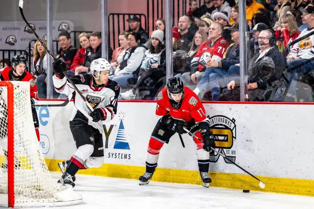 Vancouver Giants centre Tyson Zimmer left homes in on the puck