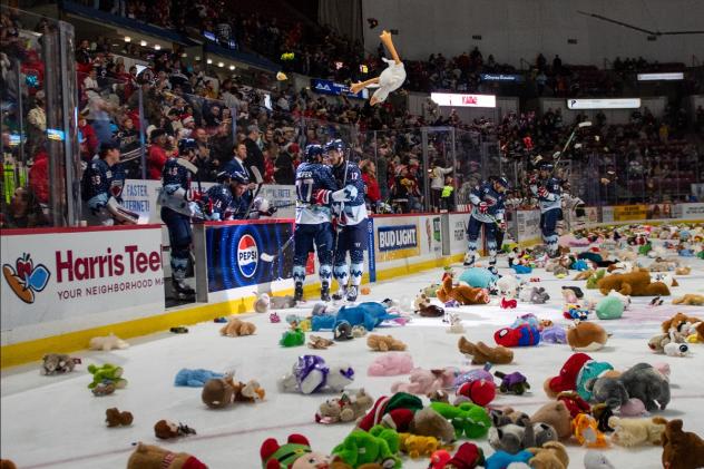 South Carolina Stingrays Teddy Bear Toss