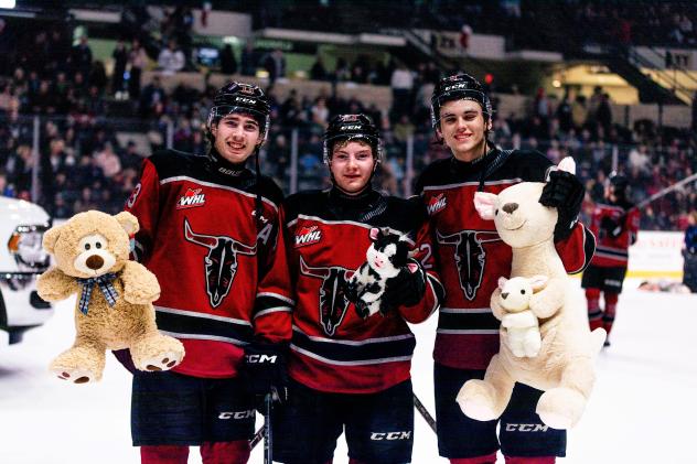 Red Deer Rebels Teddy Bear Toss