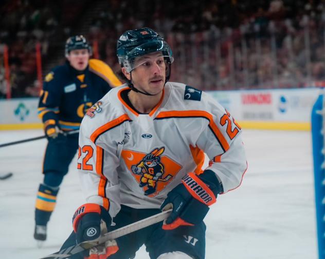 Greenville Swamp Rabbits forward Zach White
