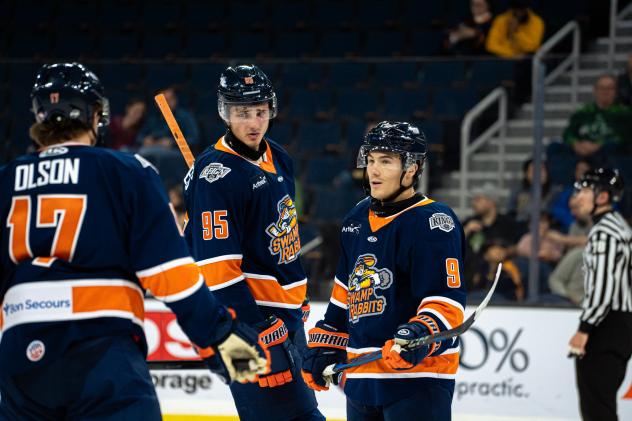 Greenville Swamp Rabbits gather following a goal