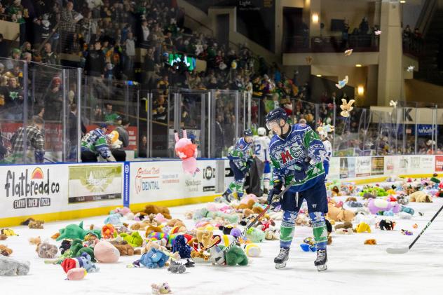 Maine Mariners Teddy Bear Toss