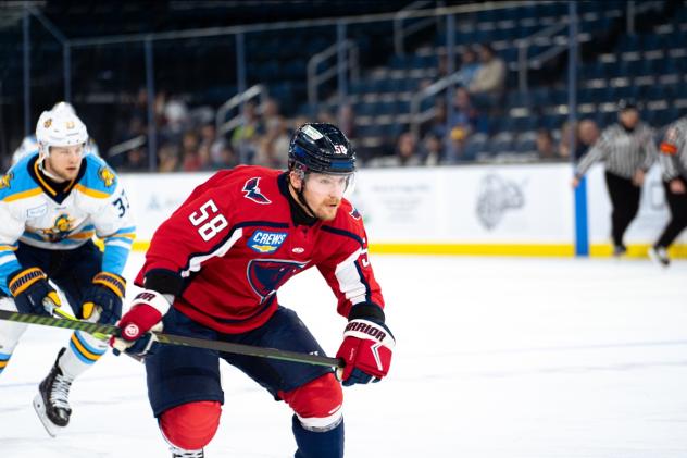 South Carolina Stingrays defenseman Andrew Perrott