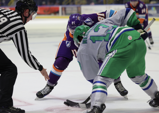 Florida Everblades forward Craig Needham in the faceoff circle