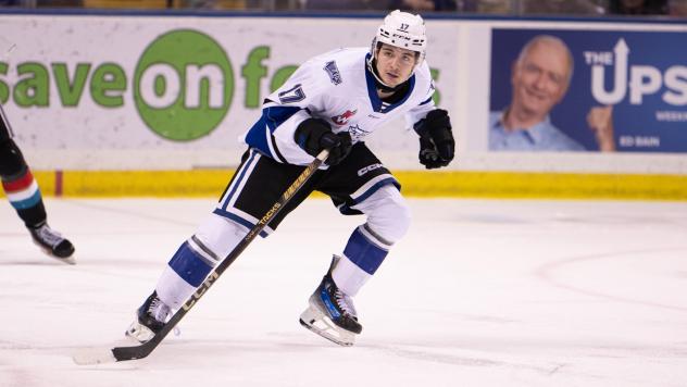 Victoria Royals right wing Nolan Stewart