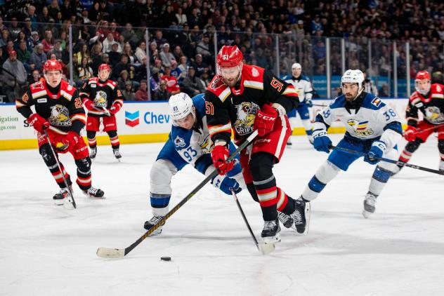 Colorado Eagles' Jean-Luc Foudy versus Grand Rapids Griffins' Austin Watson