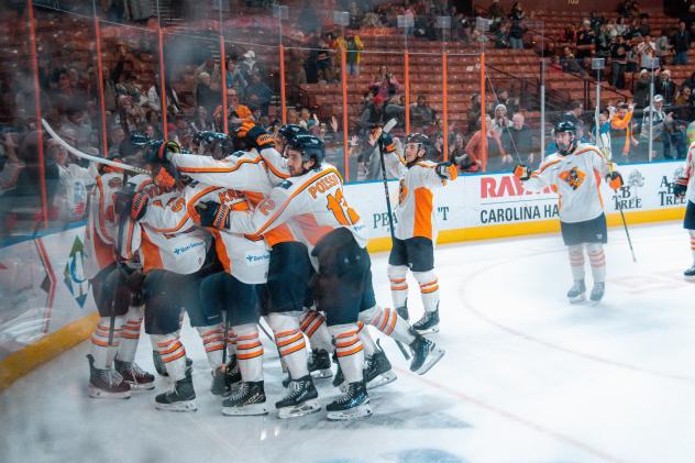 Greenville Swamp Rabbits celebrate their overtime win