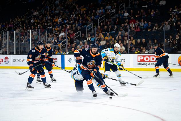 Greenville Swamp Rabbits battle the Atlanta Gladiators
