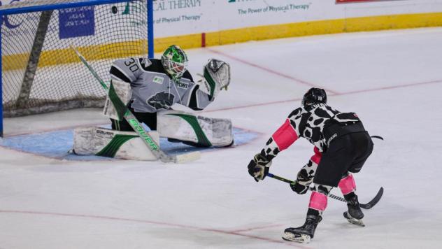 Wichita Thunder's Kobe Walker versus Idaho Steelheads' Bryan Thomson