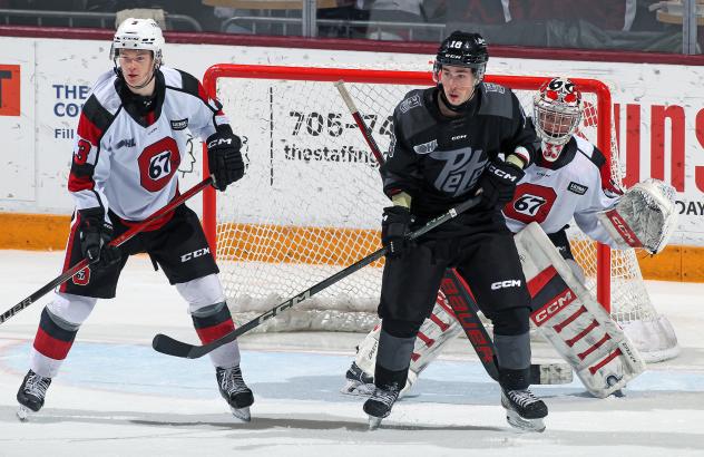 Peterborough Petes right wing Francis Parish looks for a score against the Ottawa 67's