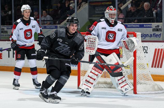 Peterborough Petes centre Aiden Young against the Ottawa 67's