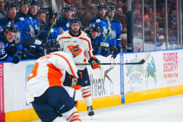 Greenville Swamp Rabbits in action