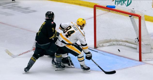Atley Calvert of the Wheeling Nailers scores against the Iowa Heartlanders