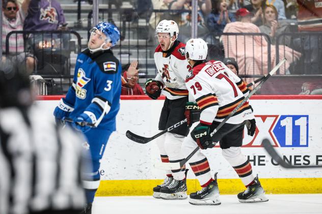 Tucson Roadrunners captain Austin Poganski reacts after he ties the game