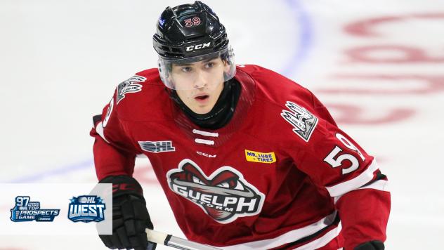 Guelph Storm defenceman Daniil Skvortsov