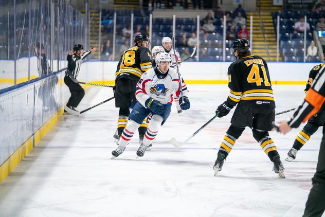 Springfield Thunderbirds forward Anthony Callin