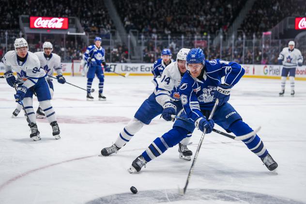 Syracuse Crunch defenseman Steven Santini vs. the Toronto Marlies