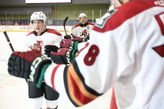 Tucson Roadrunners exchange congratulations