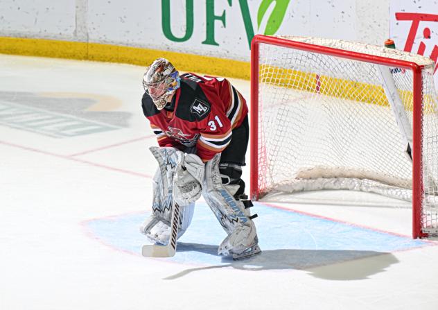 Tucson Roadrunners goaltender Matthew Villalta
