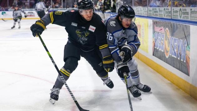Wichita Thunder battles the Iowa Heartlanders