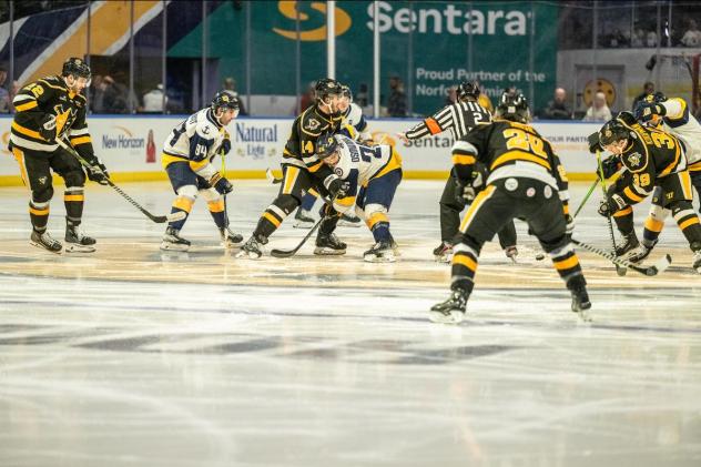 Wheeling Nailers battle the Norfolk Admirals