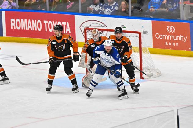 Syracuse Crunch and Lehigh Valley Phantoms on the ice