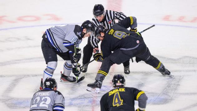 Wichita Thunder face off with the Iowa Heartlanders
