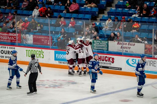 Peterborough Petes celebrate a goal against the Sudbury Wolves